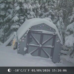 Meet your Posher, Ramona